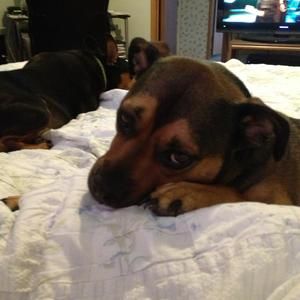 Meet your Posher, Becky